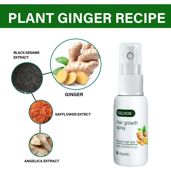 EELHOE Ginger Hair Growth Serum Strong Repair Growth Serum Hair Care Root Care Spray - Image 7